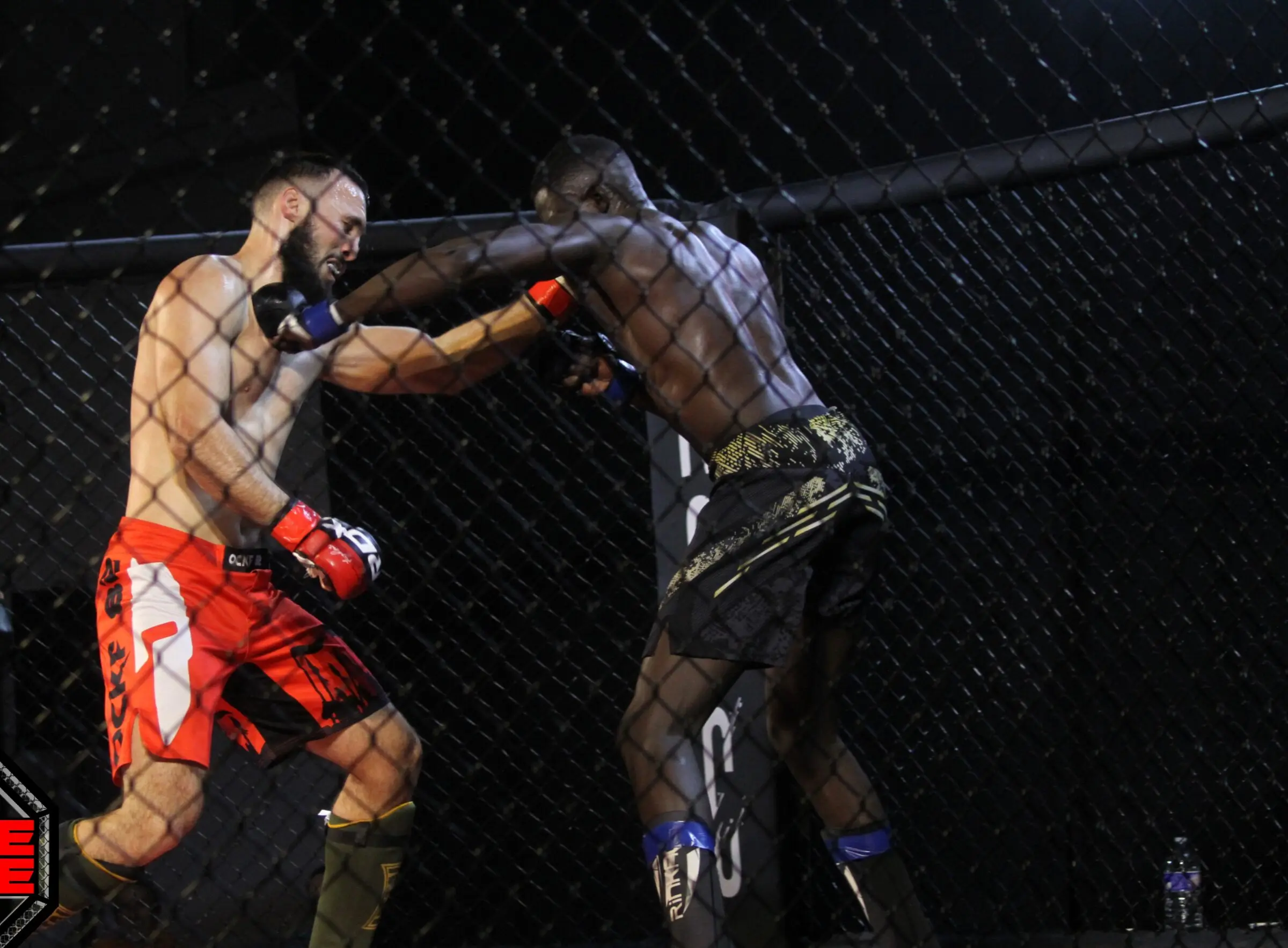 Corps-à-corps dans la cage du gala No Cage No Rage